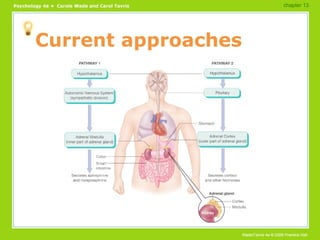 Current approaches chapter 13 