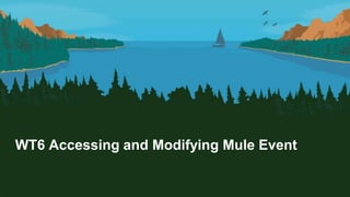 WT6 Accessing and Modifying Mule Event
 