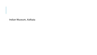 Indian Museum, Kolkata
 