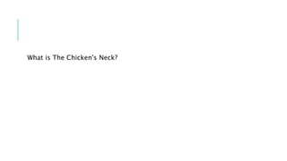 What is The Chicken's Neck?
 