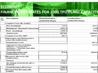 ECONOMY
FINANCIAL ESTIMATES FOR 1000 TPD PLANT CAPACITY
 