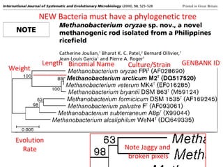 Note Jaggy and
broken pixels
NEW Bacteria must have a phylogenetic tree
Length
_________Weight
Binomial Name Culture/Strain GENBANK ID
Evolution
Rate
 
