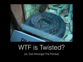 WTF is Twisted?
(or: Owl Amongst The Ponies)
 