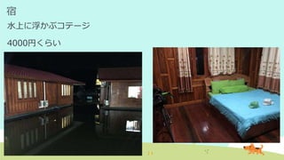 宿
水上に浮かぶコテージ
4000円くらい
 