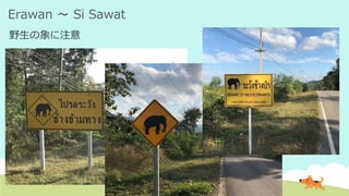 Erawan ～ Si Sawat
野生の象に注意
 