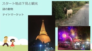 スタート地点下見と観光
謎の動物
ナイトマーケット
 