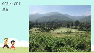 CP3 ～ CP4
景色
 