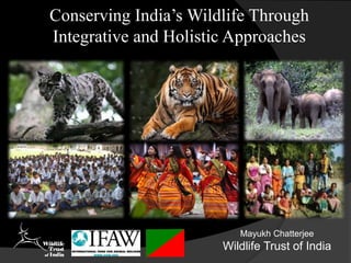 Conserving India’s Wildlife Through
Integrative and Holistic Approaches
Mayukh Chatterjee
Wildlife Trust of India
 
