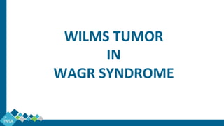 WILMS TUMOR
IN
WAGR SYNDROME
 