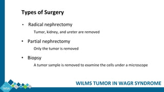 WILMS TUMOR IN WAGR SYNDROME
Types of Surgery
• Radical nephrectomy
Tumor, kidney, and ureter are removed
• Partial nephrectomy
Only the tumor is removed
• Biopsy
A tumor sample is removed to examine the cells under a microscope
 