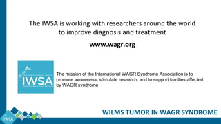 The IWSA is working with researchers around the world
to improve diagnosis and treatment
www.wagr.org
The mission of the International WAGR Syndrome Association is to
promote awareness, stimulate research, and to support families affected
by WAGR syndrome
WILMS TUMOR IN WAGR SYNDROME
 