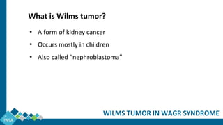 WILMS TUMOR IN WAGR SYNDROME
• A form of kidney cancer
• Occurs mostly in children
• Also called “nephroblastoma”
What is Wilms tumor?
 
