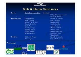 W T Lopes da Silva soil carbon analysis methods july 2010