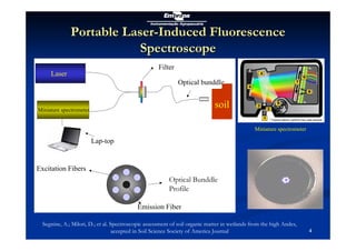 W T Lopes da Silva soil carbon analysis methods july 2010