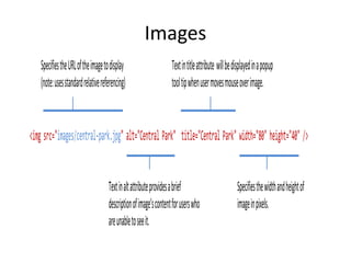 Images
<img src="images/central-park.jpg" alt="Central Park" title="Central Park" width="80" height="40" />
SpecifiestheURLoftheimagetodisplay
(note:usesstandardrelativereferencing)
Textinaltattributeprovidesabrief
descriptionofimage’scontentforuserswho
areunabletoseeit.
Textintitleattribute willbedisplayedinapopup
tooltipwhenusermovesmouseoverimage.
Specifiesthewidthandheightof
imageinpixels.
 
