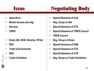 Issue  Negotiating Body Agriculture Market Access (non-Ag) Services TRIPS Rules (AD, SCM, fisheries, RTAs) DSU Trade & Environment S&D Trade Facilitation Special Sessions of CoA Neg. Group on MA Special Sessions of CTS Special Sessions of TRIPS Council TRIPS Council Neg. Group on Rules Special Sessions of DSB Special Sessions of CTE Special Sessions of CTD Neg. Group on Trade Facilitation 