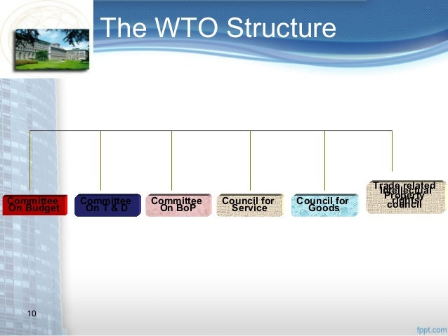 Rule based trading system wto