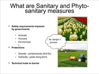 What are Sanitary and Phyto-
sanitary measures
Safety requirements imposed
by governments
‣
‣
‣
Animals
Humans
Environmen
t
Protections
‣
‣
Directly - contaminants (bird ﬂu)
Indirectly - pests (long term)
Technical trade to barrier
No danger! I
promise
 