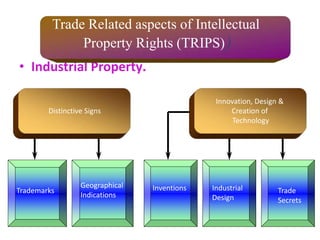 • Industrial Property.
Distinctive Signs
Trademarks
Geographical
Indications
Innovation, Design &
Creation of
Technology
Inventions Industrial
Design
Trade
Secrets
Trade Related aspects of Intellectual
Property Rights (TRIPS))
 