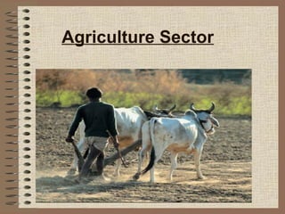 Agriculture Sector 