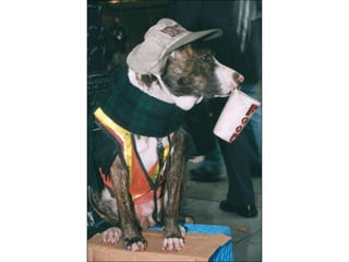 World Trade Orginization in Seattle 1999