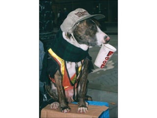 World Trade Orginization in Seattle 1999