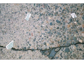 World Trade Orginization in Seattle 1999