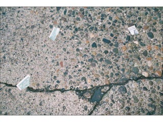 World Trade Orginization in Seattle 1999