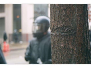 World Trade Orginization in Seattle 1999