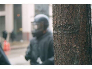 World Trade Orginization in Seattle 1999