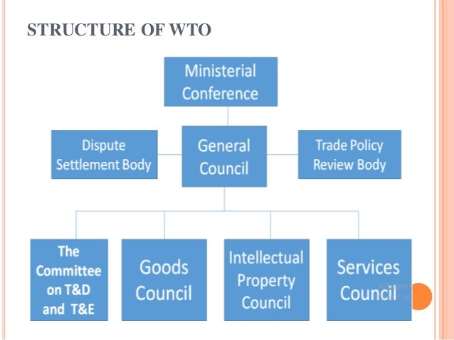 Principles of trading system wto
