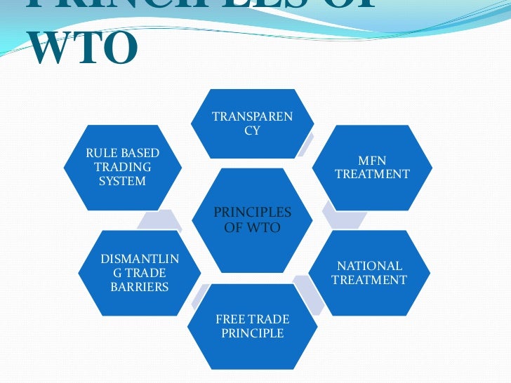 literature review on wto and developing countries