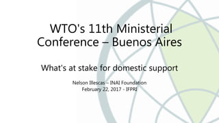 WTO's 11th Ministerial
Conference – Buenos Aires
What's at stake for domestic support
Nelson Illescas – INAI Foundation
February 22, 2017 - IFPRI
 