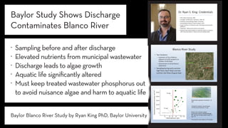 Blanco River Study
• Two locations:
– Upstream of City of Blanco,
adjacent to Smith property on
Goldwin-Smith Road
– Downstream of 165 @ Blanco
Settlement
• Sampling during early summer
high flows (April-May) and late
summer low flows (August-Sep)
23 ug/L
33 ug/L
Segmented regression threshold: 23
ug/L
Threshold Indicator Taxa Analysis
(TITAN) taxa threshold: 33 ug/L
Bottom line: Nuisance algae
proliferated between 20 and 35 ug/L
TP, and was virtually absent below 15
ug/L TP.
This result is very similar to TX studies.
.	 Sampling before and after discharge
.	 Elevated nutrients from municipal wastewater
.	 Discharge leads to algae growth
.	 Aquatic life significantly altered
.	 Must keep treated wastewater phosphorus out
to avoid nuisance algae and harm to aquatic life
Baylor Study Shows Discharge
Contaminates Blanco River
Baylor Blanco River Study by Ryan King PhD, Baylor University
Dr. Ryan S. King: Credentials
• PhD, Duke University, 2001
• Ecologist, Smithsonian Institution, 2001-04
• Professor (Full), Biology, Baylor University
• Outstanding Professor Award, Baylor, 2014
• Expert witness in 8 Federal cases involving environmental
pollution
• Published ~100 journal articles and reports
• Research focused primarily on nutrient criteria in streams,
with several projects in Texas and surrounding states
 