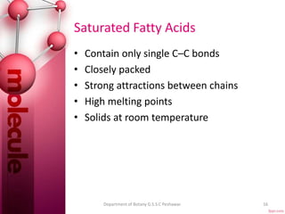 Saturated Fatty Acids
• Contain only single C–C bonds
• Closely packed
• Strong attractions between chains
• High melting points
• Solids at room temperature
16Department of Botany G.S.S.C Peshawar.
 