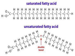 Slide Title
18Department of Botany G.S.S.C Peshawar.
 