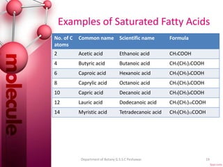 Examples of Saturated Fatty Acids
No. of C
atoms
Common name Scientific name Formula
2 Acetic acid Ethanoic acid CH3COOH
4 Butyric acid Butanoic acid CH3(CH2)2COOH
6 Caproic acid Hexanoic acid CH3(CH2)4COOH
8 Caprylic acid Octanoic acid CH3(CH2)6COOH
10 Capric acid Decanoic acid CH3(CH2)8COOH
12 Lauric acid Dodecanoic acid CH3(CH2)10COOH
14 Myristic acid Tetradecanoic acid CH3(CH2)12COOH
19Department of Botany G.S.S.C Peshawar.
 
