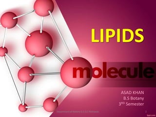 LIPIDS
ASAD KHAN
B.S Botany
3RD Semester
2Department of Botany G.S.S.C Peshawar.
 