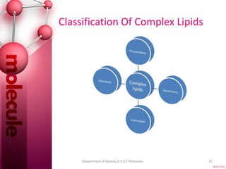 Classification Of Complex Lipids
25Department of Botany G.S.S.C Peshawar.
 