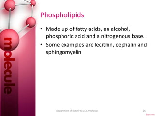 Phospholipids
• Made up of fatty acids, an alcohol,
phosphoric acid and a nitrogenous base.
• Some examples are lecithin, cephalin and
sphingomyelin
26Department of Botany G.S.S.C Peshawar.
 