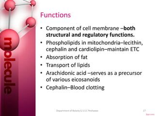 Functions
• Component of cell membrane –both
structural and regulatory functions.
• Phospholipids in mitochondria–lecithin,
cephalin and cardiolipin–maintain ETC
• Absorption of fat
• Transport of lipids
• Arachidonic acid –serves as a precursor
of various eicosanoids
• Cephalin–Blood clotting
27Department of Botany G.S.S.C Peshawar.
 