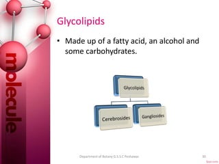 Glycolipids
• Made up of a fatty acid, an alcohol and
some carbohydrates.
30Department of Botany G.S.S.C Peshawar.
 