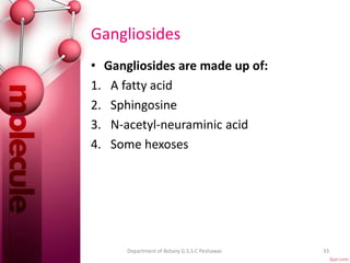 Gangliosides
• Gangliosides are made up of:
1. A fatty acid
2. Sphingosine
3. N-acetyl-neuraminic acid
4. Some hexoses
33Department of Botany G.S.S.C Peshawar.
 