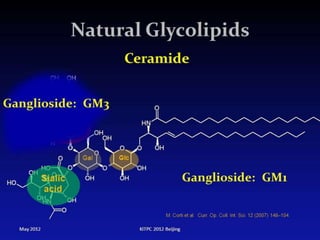 Slide Title
34Department of Botany G.S.S.C Peshawar.
 