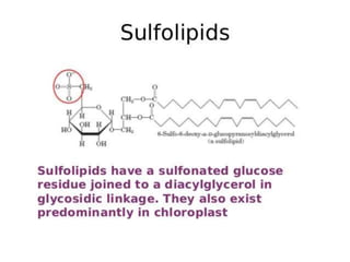 Slide Title
37Department of Botany G.S.S.C Peshawar.
 