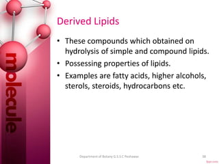 Derived Lipids
• These compounds which obtained on
hydrolysis of simple and compound lipids.
• Possessing properties of lipids.
• Examples are fatty acids, higher alcohols,
sterols, steroids, hydrocarbons etc.
38Department of Botany G.S.S.C Peshawar.
 