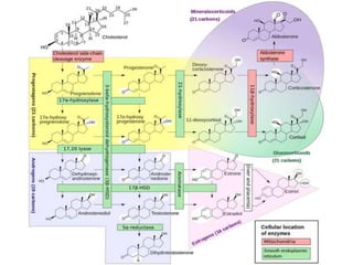 Slide Title
42Department of Botany G.S.S.C Peshawar.
 