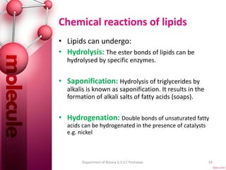 Chemical reactions of lipids
• Lipids can undergo:
• Hydrolysis: The ester bonds of lipids can be
hydrolysed by specific enzymes.
• Saponification: Hydrolysis of triglycerides by
alkalis is known as saponification. It results in the
formation of alkali salts of fatty acids (soaps).
• Hydrogenation: Double bonds of unsaturated fatty
acids can be hydrogenated in the presence of catalysts
e.g. nickel
43Department of Botany G.S.S.C Peshawar.
 