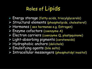 Slide Title
47Department of Botany G.S.S.C Peshawar.
 