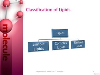 Classification of Lipids
5Department of Botany G.S.S.C Peshawar.
 